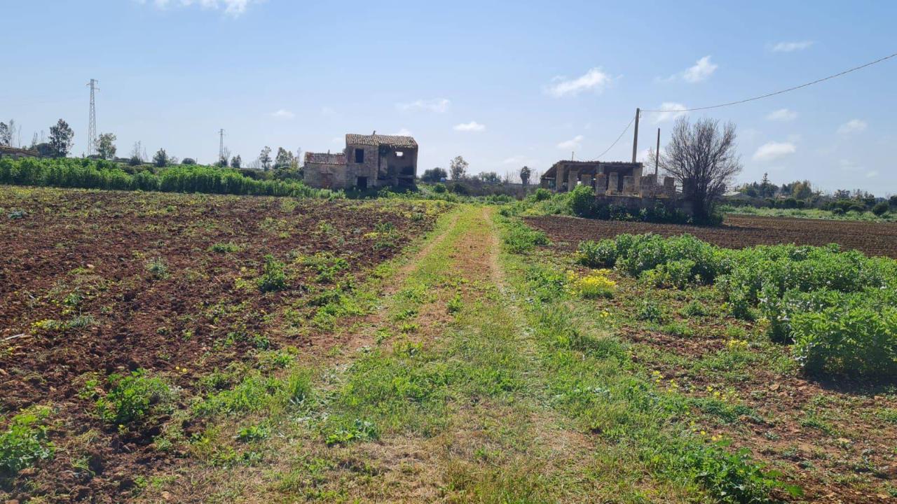 27000m² Land in Castelvetrano, Italy No. 42781