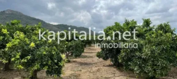 Terreno em Valencia, Spain 7427 m² N.º 138208 3