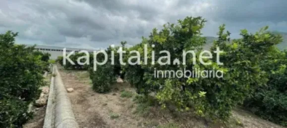 Terreno em Valencia, Spain 7427 m² N.º 138208 5