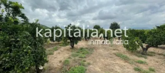 Terreno em Valencia, Spain 7427 m² N.º 138208 4