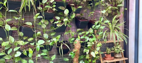 3 bedrooms Apartment in Thu Duc, Vietnam No. 17123 6