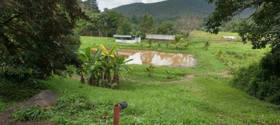 3 bedrooms House in Mae On, Thailand No. 5217 26