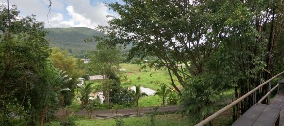 3 bedrooms House in Mae On, Thailand No. 5217 11