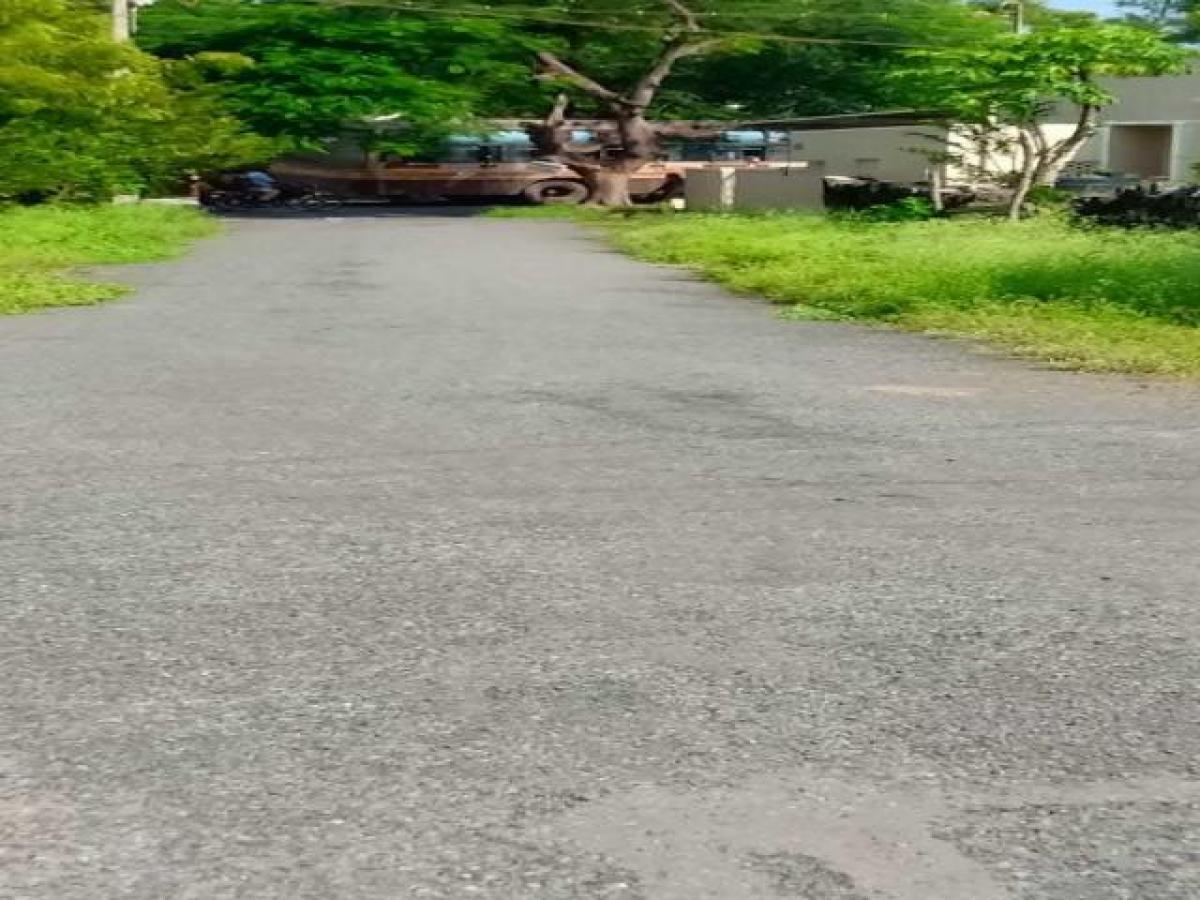 Studio in Coimbatore, India, Nr. 19363