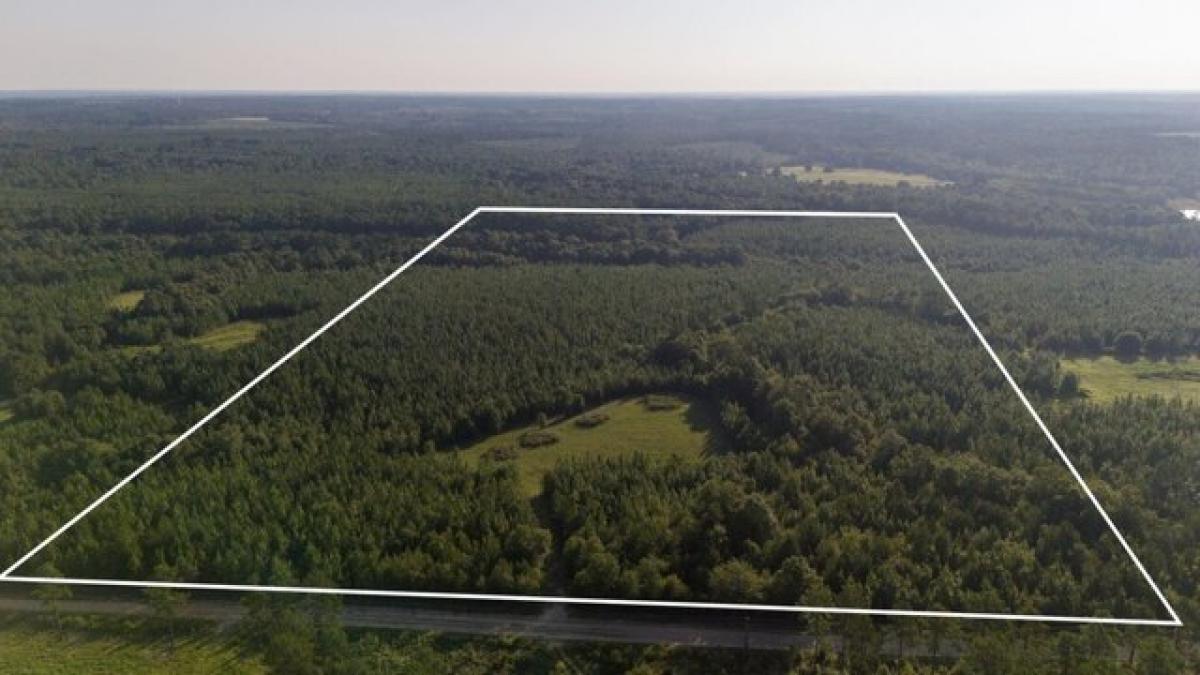 Земельный участок в Вагенер, США № 482515