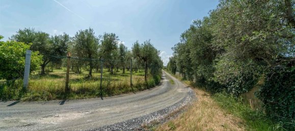 15 rooms House in Rosignano Marittimo, Italy No. 225383 25