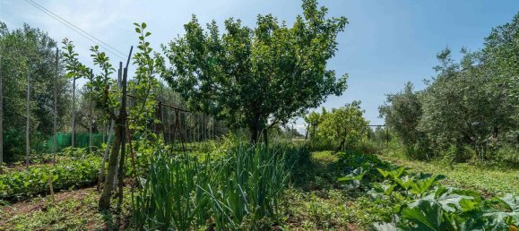 15 rooms House in Rosignano Marittimo, Italy No. 225383 21