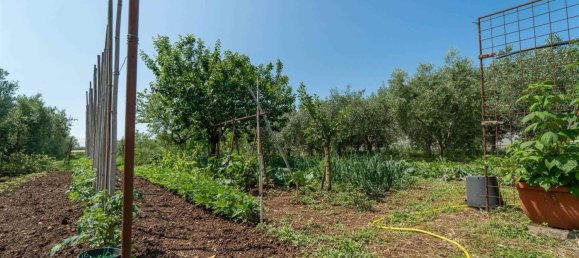 15 rooms House in Rosignano Marittimo, Italy No. 225383 22