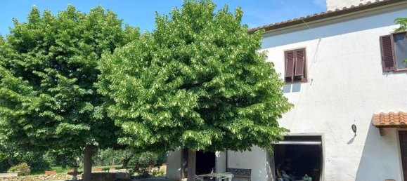 15 rooms House in Rosignano Marittimo, Italy No. 225383 32