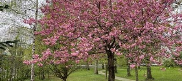 1 bedroom Apartment in Starnberg, Germany No. 368814 10