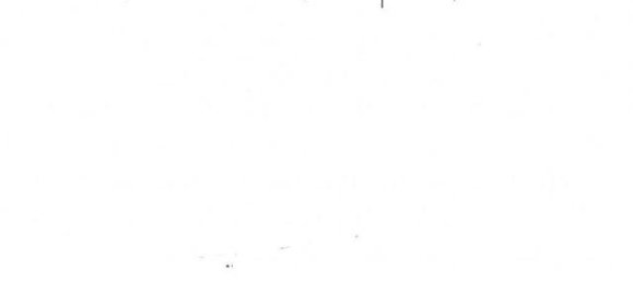 3 rooms Apartment in Alessandria, Italy No. 164126 15