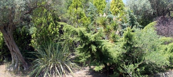 3 chambres Villa à Chalkidiki, Greece No. 54524 10