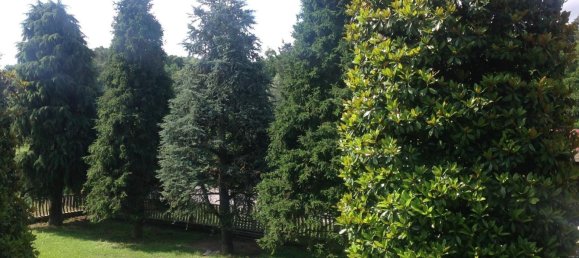 7-salle Villa à Santo Stefano Roero, Italy No. 285945 5