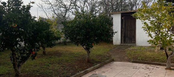 4-Zimmer Haus in Cutrofiano, Italy, Nr. 175466 5