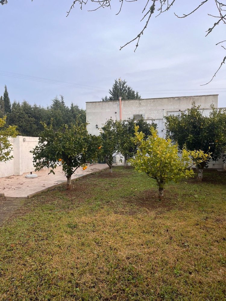 4-Zimmer Haus in Cutrofiano, Italy, Nr. 175466