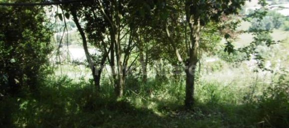 2 Schlafzimmer Haus in Monte San Pietrangeli, Italy, Nr. 73683 28