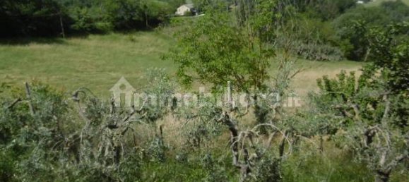 2 Schlafzimmer Haus in Monte San Pietrangeli, Italy, Nr. 73683 45