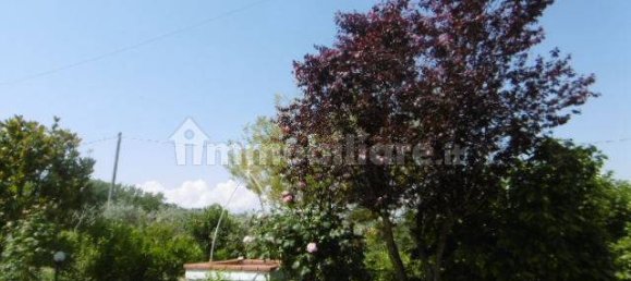 2 Schlafzimmer Haus in Monte San Pietrangeli, Italy, Nr. 73683 33