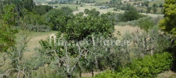 2 Schlafzimmer Haus in Monte San Pietrangeli, Italy, Nr. 73683 43