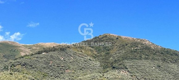 6 bedrooms Villa in Camaiore, Italy No. 63522 22