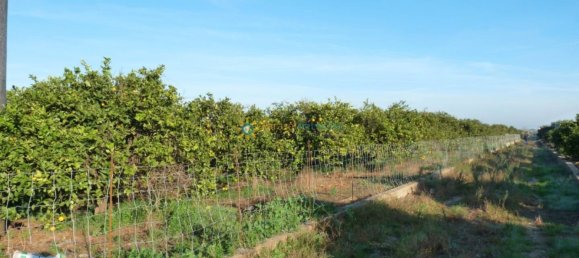 Terreno em Valencia, Spain 14707 m² N.º 138278 4