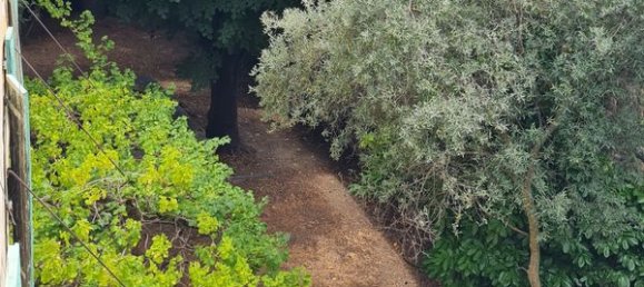 Casa T3 em Caromb, France N.º 318655 2