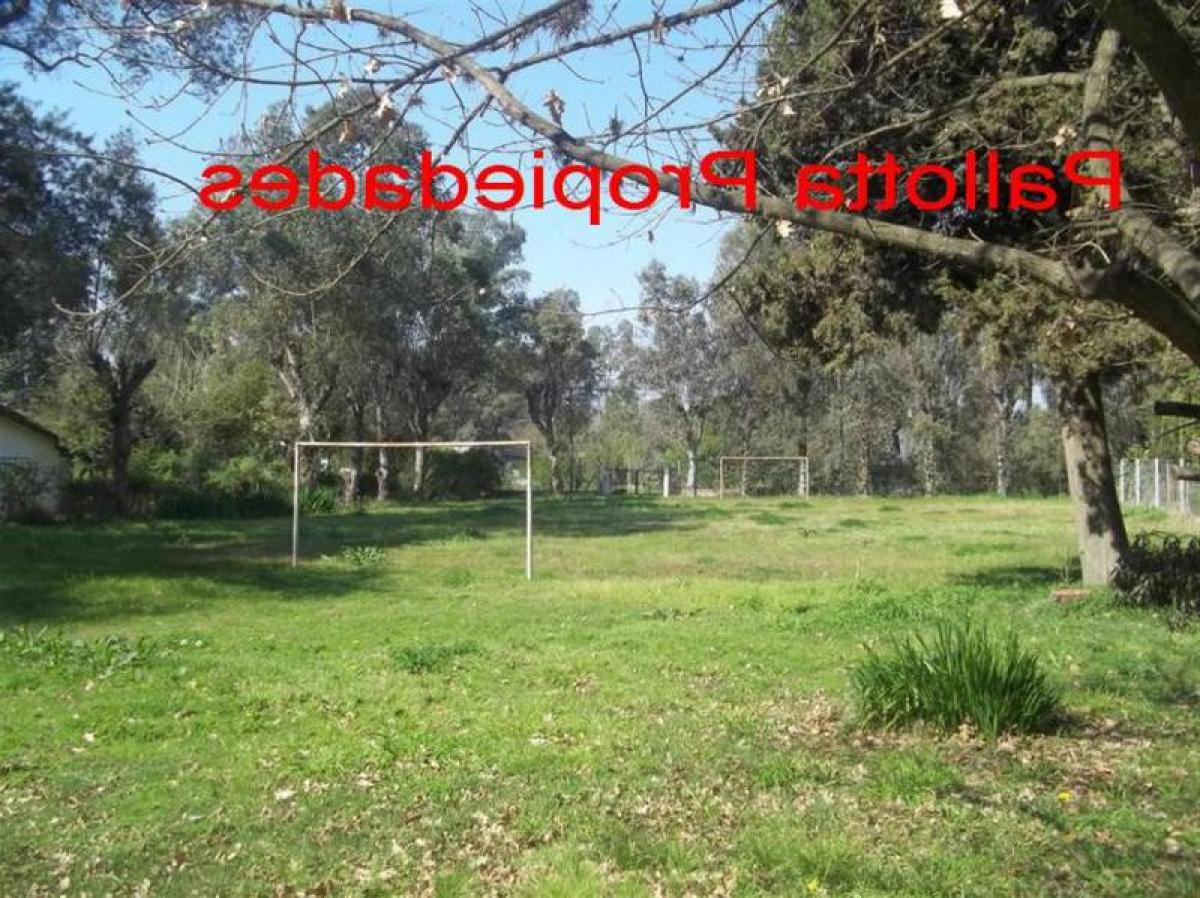  Land in Tigre, Argentina No. 43464