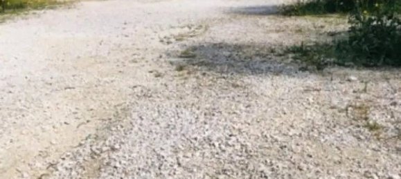 2-Zimmer Grundstück in Filottrano, Italy, Nr. 267484 4