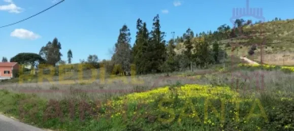 Terreno em Torres Vedras, Portugal 103120 m² N.º 144633 3