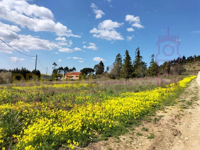 Terreno em Torres Vedras, Portugal 103120 m² N.º 144633