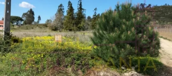 Terreno em Torres Vedras, Portugal 103120 m² N.º 144633 2