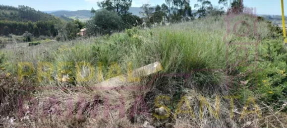 Terreno em Torres Vedras, Portugal 103120 m² N.º 144633 4