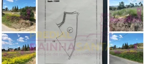 Terreno em Torres Vedras, Portugal 103120 m² N.º 144633 5