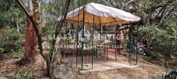 3 غرف نوم فيلا في Olbia, Italy رقم 59828 46