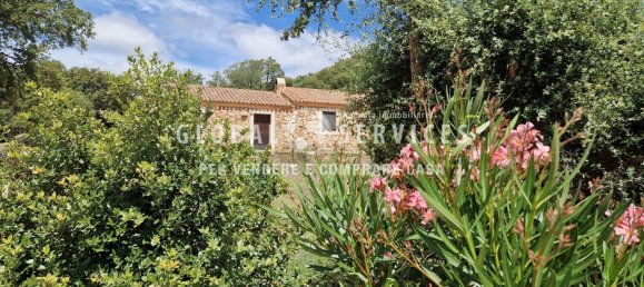 3 غرف نوم فيلا في Olbia, Italy رقم 59828 3