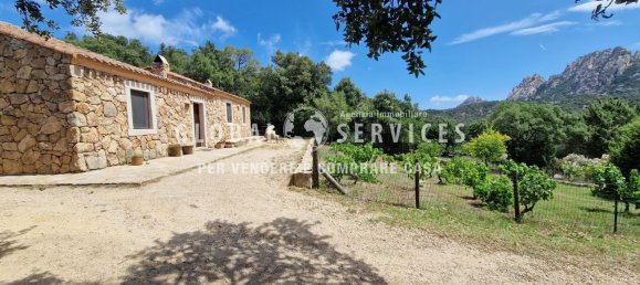 3 غرف نوم فيلا في Olbia, Italy رقم 59828 33