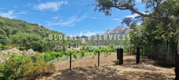 3 غرف نوم فيلا في Olbia, Italy رقم 59828 9