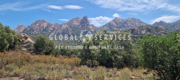 3 غرف نوم فيلا في Olbia, Italy رقم 59828 10