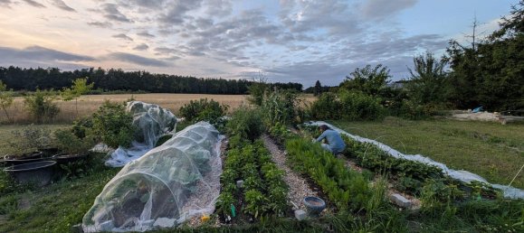 Casa de 3 dormitorios en Hasberge, Germany No. 241028 16