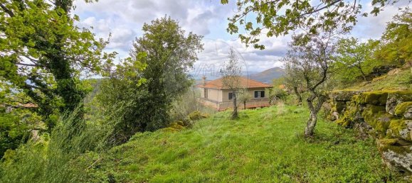 5 bedrooms House in Ribeira de Pena, Portugal No. 164526 28