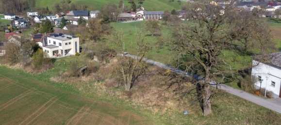 6غرفة منزل في St. Martin-Karlsbach, Austria رقم 211502 7