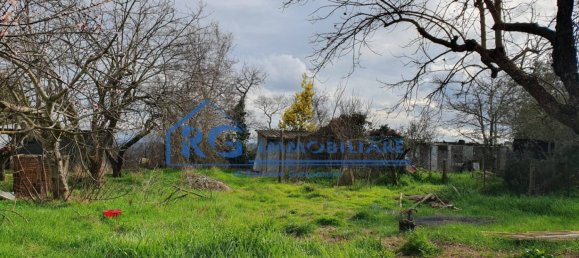 3 chambres Appartement à Lubriano, Italy No. 132761 26