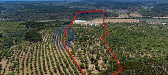 3 غرف نوم منزل في Abrantes, Portugal رقم 82160 23