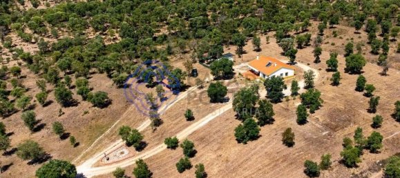 3 غرف نوم منزل في Abrantes, Portugal رقم 82160 14