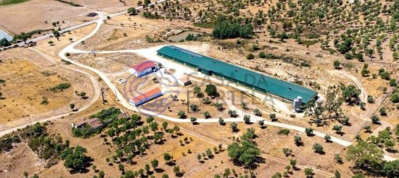 3 غرف نوم منزل في Abrantes, Portugal رقم 82160 21