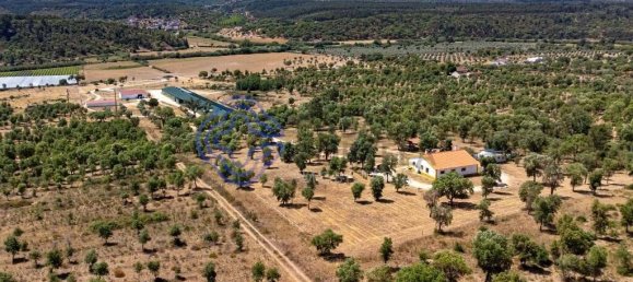 3 غرف نوم منزل في Abrantes, Portugal رقم 82160 35