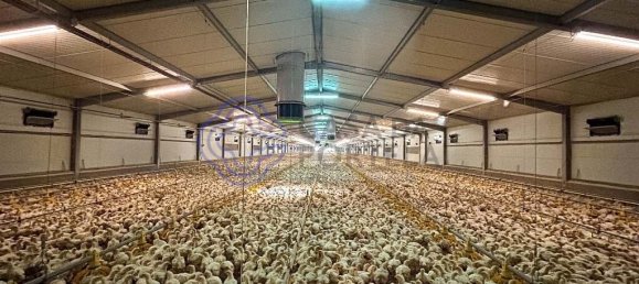 3 غرف نوم منزل في Abrantes, Portugal رقم 82160 33