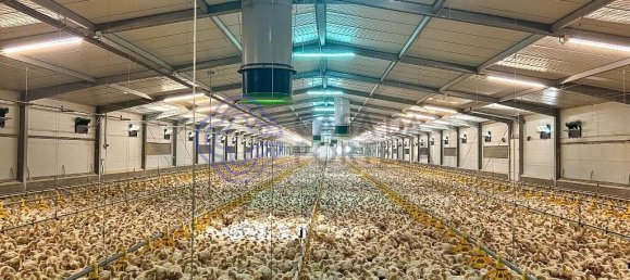 3 غرف نوم منزل في Abrantes, Portugal رقم 82160 34