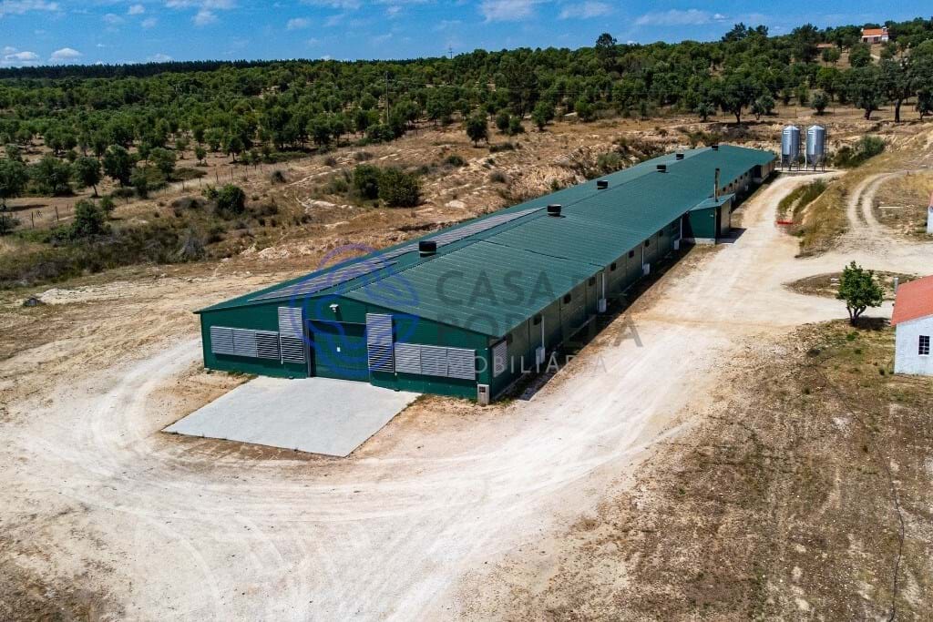 3 غرف نوم منزل في Abrantes, Portugal رقم 82160