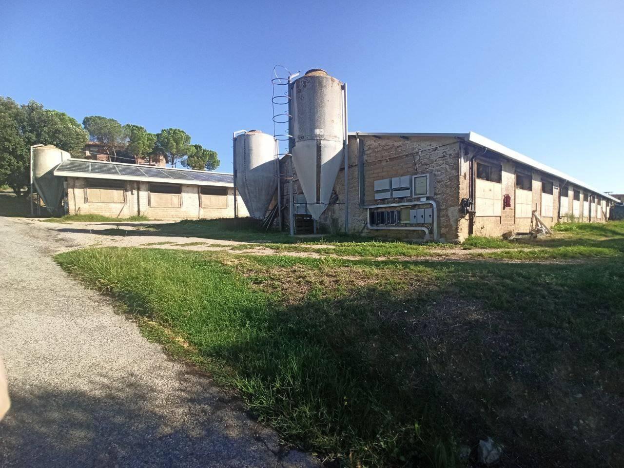 Grundstück in Marsciano, Italy 28780m², Nr. 119715